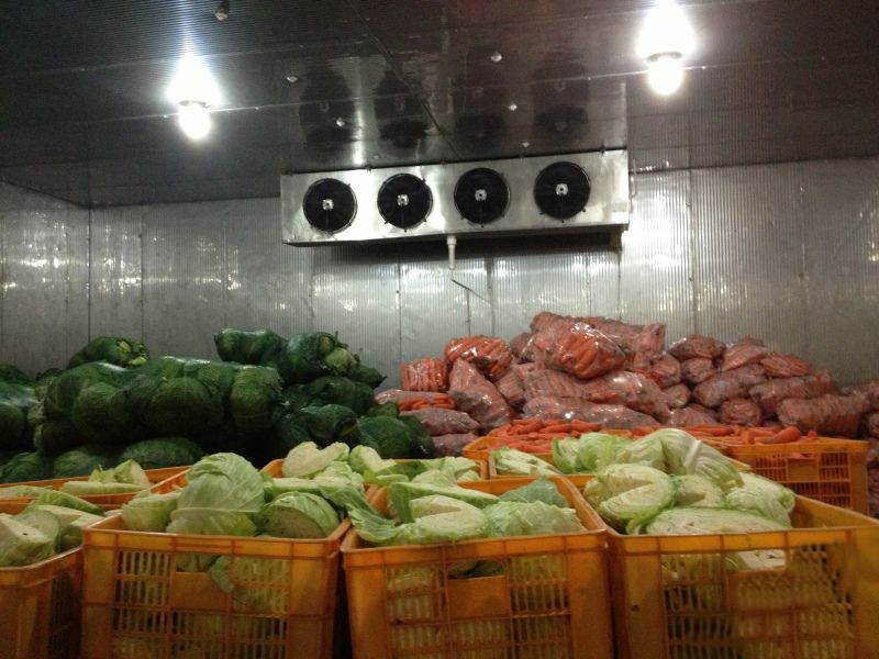 蔬菜冷库建造