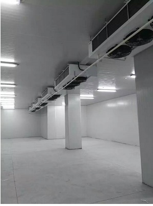 医药冷库建造